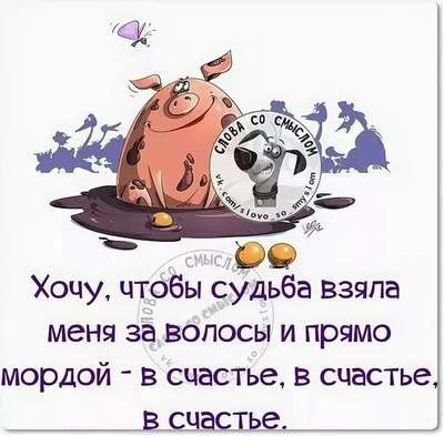 Идеи на тему «Обои со смыслом» (340) в 2023 г | подростковые цитаты,  саркастичные цитаты, небольшие цитаты