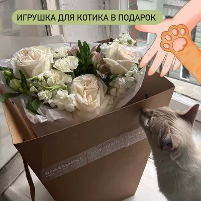 Цветы для тебя | Samara