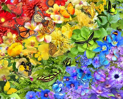 Картинки на телефон с бабочками и цветами (69 фото) » Картинки и статусы  про окружающий мир вокруг