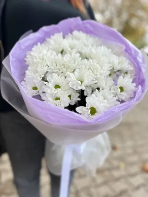 Букет Хорошего дня 2023. Купить цветы в Могилеве с доставкой