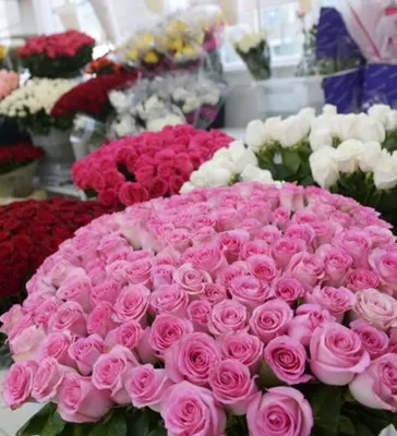 Какими цветами удивить девушку, маму или сестру 8 марта? | Цветы 24 часа  Лара