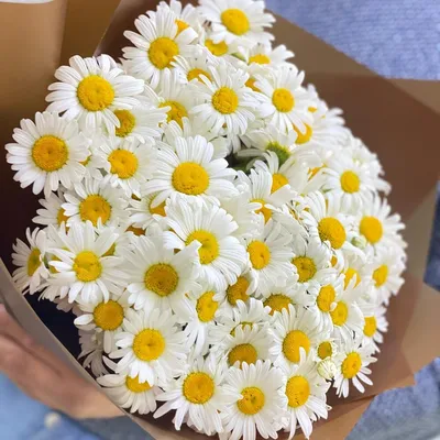Купить Букет цветов "Ромашки для Неё" в Москве недорого с доставкой