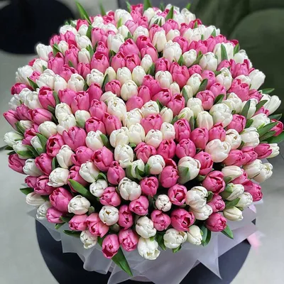 Тюльпаны | Tulips flowers, Beautiful bouquet of flowers, Boquette flowers