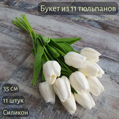 Цветы в Новосибирске тюльпан №147 - 🌹 Цветы Новосибирск: