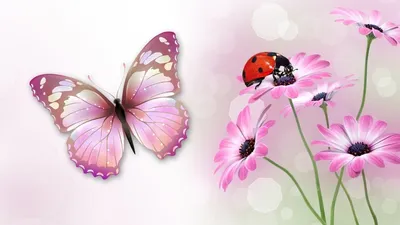 Красивые рисунки бабочки и цветы - 64 фото