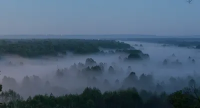 Окутанные сильным туманом башни «Москва-Сити» попали на видео | РБК Life