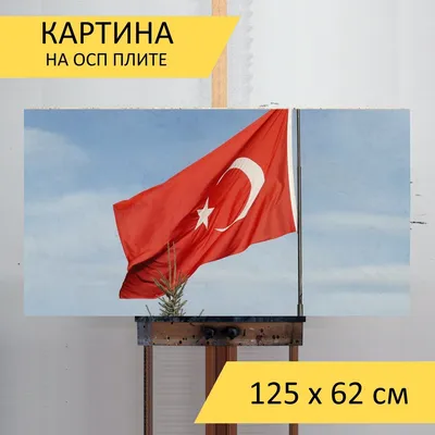 Турецкий флаг Турции турецький прапор Туреччини Turkish flag of Turkey: 250  грн. - Коллекционирование Киев на Olx