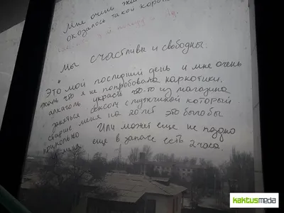 Лжеблогер угрозами получил 48 млн тенге от проводников в Семее - 