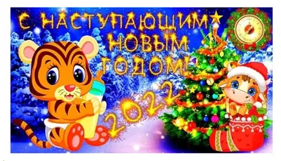 Александр Блошкин: Прощаясь с уходящим годом, мы уверенно смотрим в будущее  | РИАЦ34 - новости Волгограда | Дзен