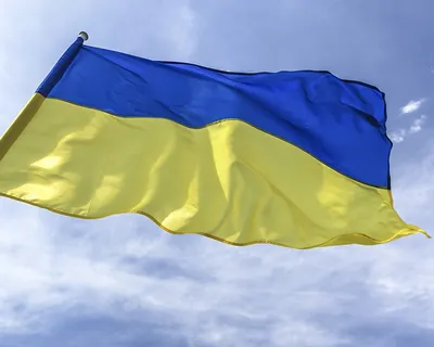90X150cm Blue Yellow Ukraine Flag Украинский флаг/Український прапор/coat  of arm | eBay