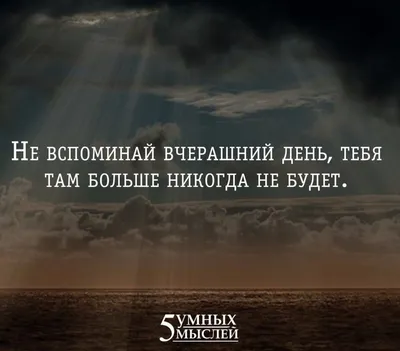 15 фраз быдлу, если на Вас жестко наехали! Как выжить? | Владислав Якимов |  Дзен