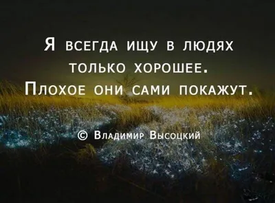 все кого я знаю дураки умные а я умный дурак | Самые смешные цитаты,  Вдохновляющие фразы, Мудрые цитаты