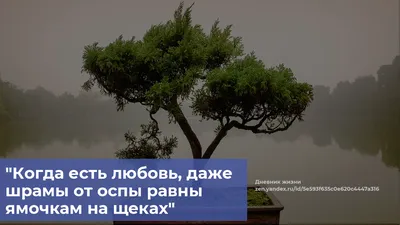 28 умных японских фраз с их значением. Познайте дзен. | Дневник жизни | Дзен