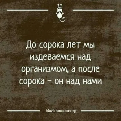 Умные высказывания | Цитаты о благодарности, Правдивые цитаты,  Юмористические цитаты