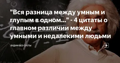 Умные всегда побеждают сильных»: 15 лучших цитат об уме | 