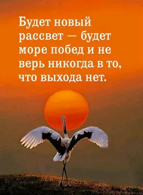 Язвительные цитаты про умных и глупых людей от Михаила Жванецкого, чей юмор  до сих пор не дает нам расслабиться / AdMe