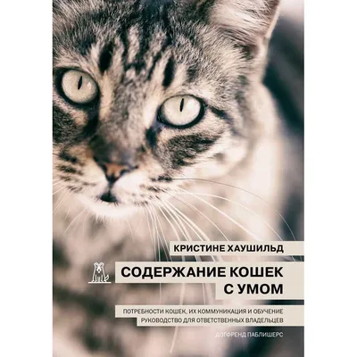 Инста-грамотные тексты. Пиши с душой-продавай с умом. Кот Д. - купить книгу  в интернет-магазине «Живое слово».