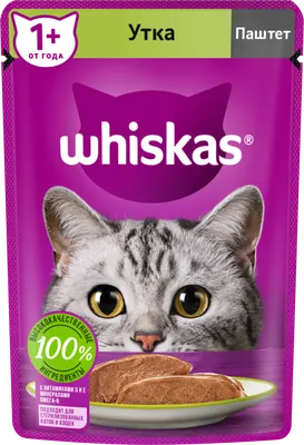 Влажный корм для кошек Whiskas рагу с уткой и печенью, 75 г - купить с  доставкой в Ростове-на-Дону - STORUM