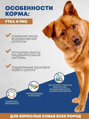 Верные Друзья сухой корм для собак с уткой и рисом 15кг купить, цена в  интернет-магазине "Багира" Симферополь, Крым