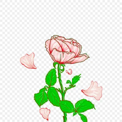Серые немецкие обои Secret Garden 336041 панно с узором в виде цветов розы  структурированные под холст картины (ID#574644589), цена: 990 ₴, купить на  