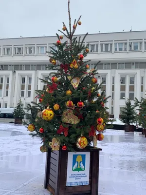 Сшитые валенки высокие - цвет юртовый купить по недорогой цене в  интернет-магазине 