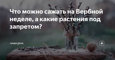 Вербная неделя: что можно делать в огороде, а что нельзя категорически? |  Наша Дача | Дзен