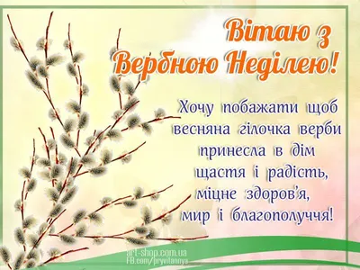 Вербное воскресенье 2021 - картинки и открытки, поздравления в стихах и  прозе | Стайлер