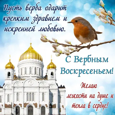 От души поздравляю со Светлым Вербным Воскресеньем! - Лента новостей ДНР