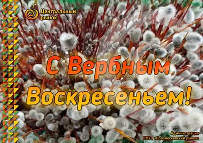 Новомосковский рынок поздравляет туляков с Вербным воскресеньем | ИА  “Тульская Пресса”