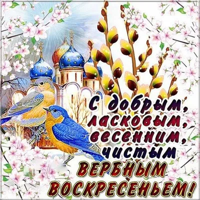 С вербным воскресеньем!