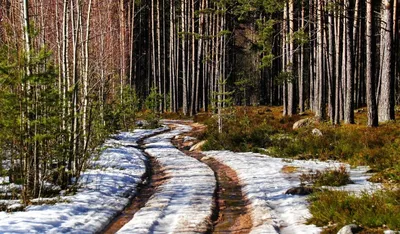 Весна природа обои на рабочий стол, фото весны для рабочего стола