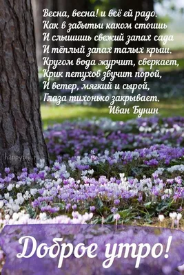 С Добрым Утром 🌹 Пожелание Доброго Весеннего Утра и Хорошего Дня ☕  Прекрасного Весеннего Настроения! - YouTube