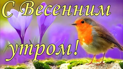 С добрым весенним утром!» — создано в Шедевруме