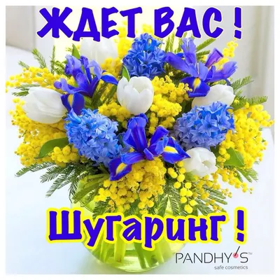 С наступившей весной Вас, дорогие друзья!!! 🌷 | Санаторий-профилакторий  "Коммунальник"