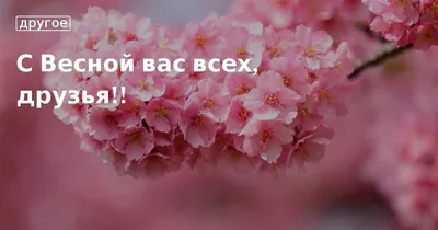 С Весной вас, современницы! — Новости Шымкента