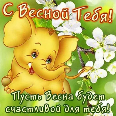 Доброе утро, с последним днем весны вас... А завтра уже  лето!!!🍒🌹🌺🌸🐝🐞💐💮🌼 | ВКонтакте