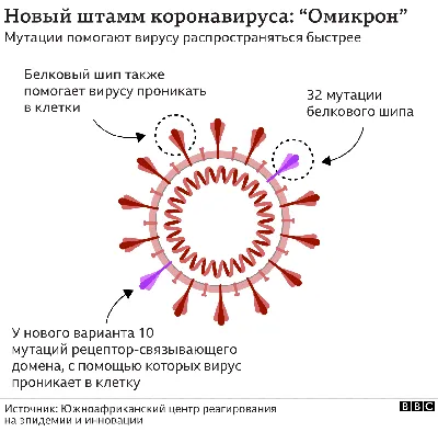 В США олень заразился «вирусом зомби». Недуг может быть опасен для людей |  РБК Life