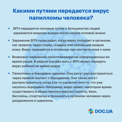 Блог о гриппе, 47-я неделя: добавился случай заражения вирусом гриппа А |  