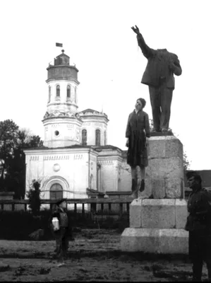 Виселица узел Стоковые фотографии, картинки, все без лицензионных  отчислений - Envato Elements