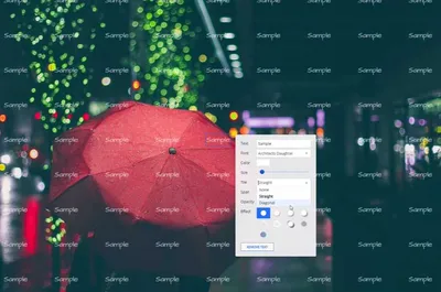 Водяные знаки. Как защитить свои фотографии? | Маркетинговый навигатор |  Дзен