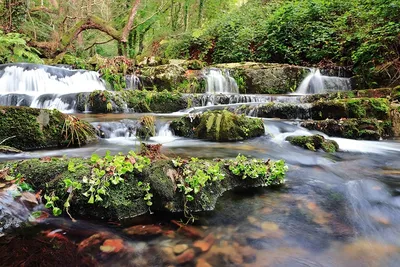 РОСФОТО Открытка. Пейзаж с водопадом