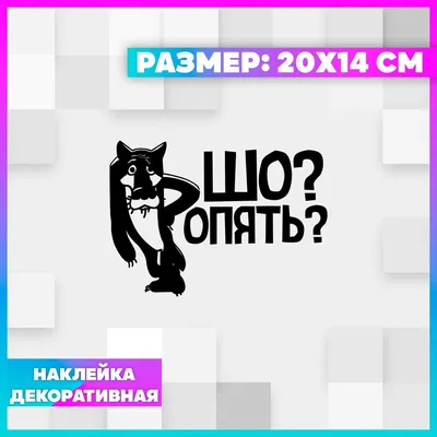 Декоративная наклейка 20х14 Волк шо опять купить по выгодной цене в  интернет-магазине OZON (976339210)
