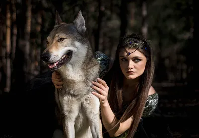 Фото с волком. Сборник часть 4 • Волк фотомодель Киев