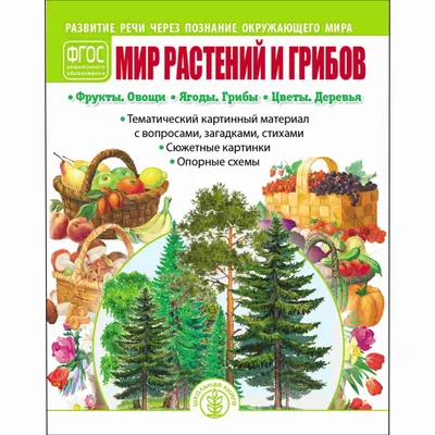 Книга "МИР ЧЕЛОВЕКА: Транспорт. Профессии. Электричество и электробытовая  техника. Развитие речи через познание окружающего мира. Тематический  картинный материал с вопросами, загадками, стихами. Сюжетные картинки.  Опорные схемы" – купить книгу ISBN 978 ...