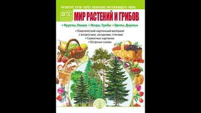 Книга Школьная Книга Мир животных Развитие речи через познание окружающего  мира купить по цене 313 ₽ в интернет-магазине Детский мир