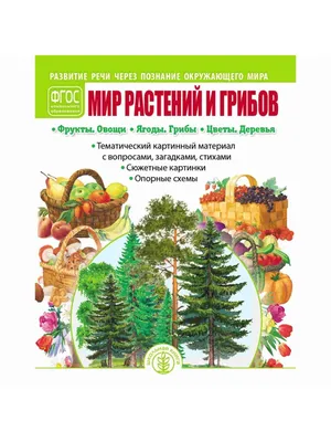 Летом мы отмечаем рост пешеходов, которые погибли и получили травмы  различной тяжести / 