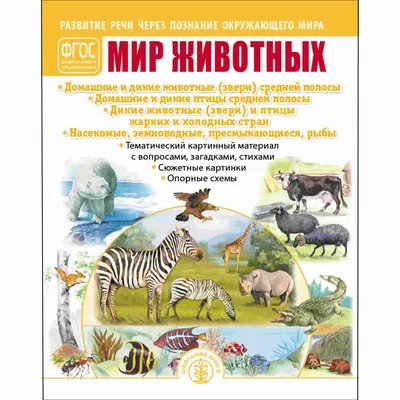 Книга "МИР РАСТЕНИЙ И ГРИБОВ: Фрукты. Овощи. Ягоды. Грибы. Цветы. Деревья.  Развитие речи через познание окружающего мира. Тематический картинный  материал с вопросами, загадками, стихами. Сюжетные картинки. Опорные схемы"  – купить книгу ISBN