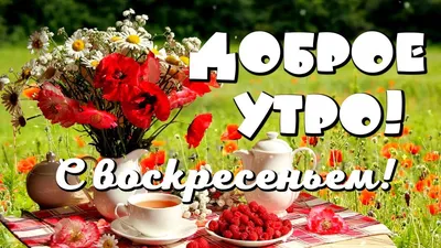 Доброе утро, с воскресеньем! Доброго воскресного дня! Открытка С Добрым  утром - YouTube