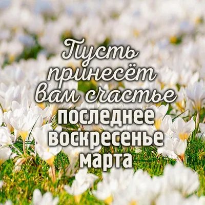 С последним воскресеньем лета… | Лето, Доброе утро, Счастливые картинки