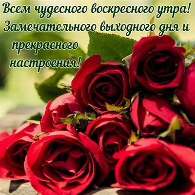 Мне всё время кажется, что каждому нужен хотя бы один дополнительный день  между субботой и воскресеньем. | Прикол | … | Смешно, Самые смешные цитаты,  Смешные тексты